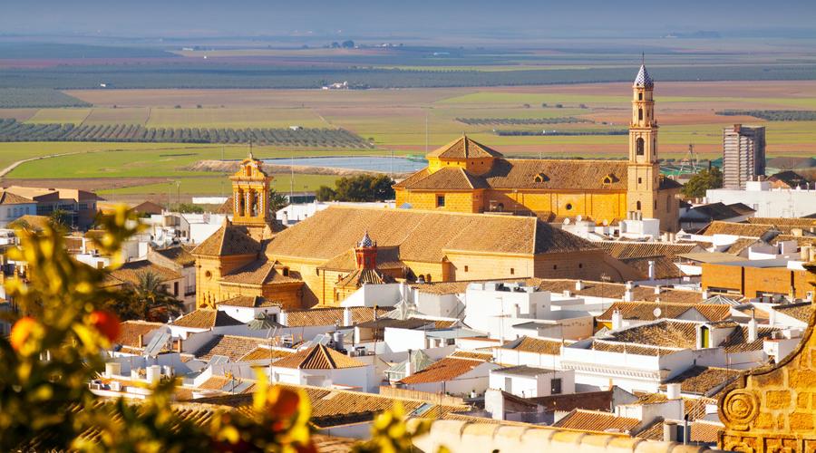 Osuna, un trésor baroque près de Séville Hotel Gravina 51 Sevilla Osuna, un trésor baroque près de Séville Hotel Gravina 51 Sevilla
